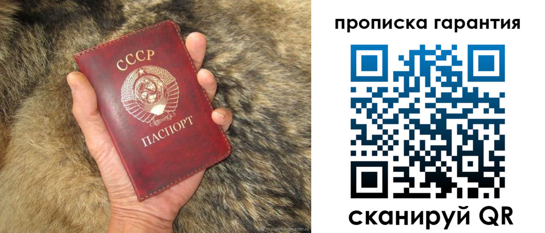временная регистрация гарантия в Приморско-Ахтарске